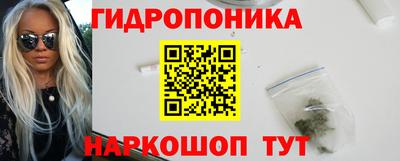 a pvp Обь