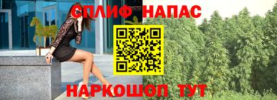 a pvp Обь