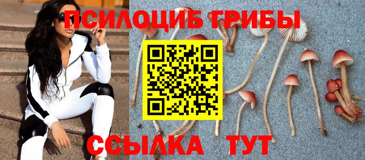 Псилоцибиновые грибы ЛСД  Вход с VPN  Алушта  наркота  Псилоцибиновые грибы MAGIC MUSHROOMS 
